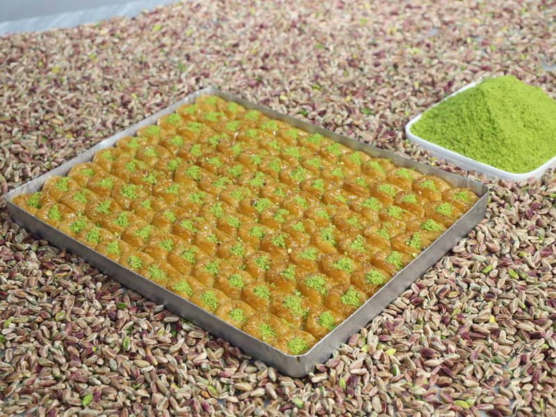 Bülbül yuvası